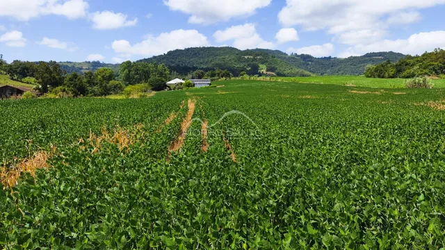 Área rural, foto 4