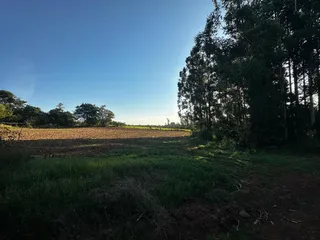 Área rural com 3 dormitórios, foto 43