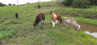 Área rural, foto 8