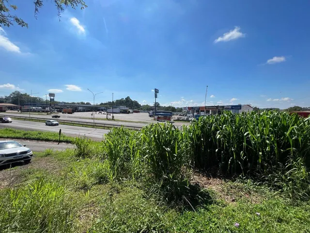 Terreno, foto 4