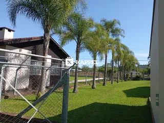 Vista externa de um quintal com gramado e palmeiras.
