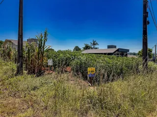 Vista externa de uma propriedade com vegetação alta no primeiro plano.