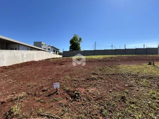 Vista de um terreno aberto com vegetação rasteira e uma cerca de fundo.