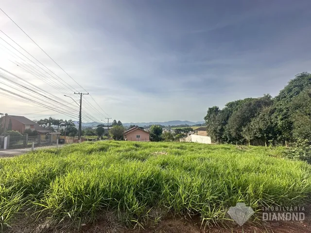 Terreno, foto 3