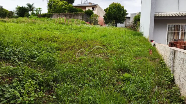 Área externa com grama alta e vegetação densa ao lado de uma construção.