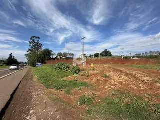 Vista de um terreno com vegetação e terra no lado de uma estrada.
