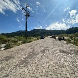 Vista de uma estrada de cascalho em uma área arborizada.