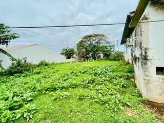 Vista externa de um terreno com vegetação densa e grama alta.
