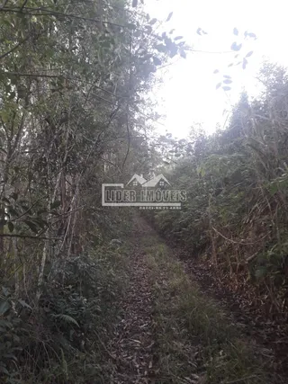 Área rural, foto 6