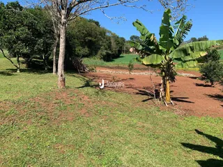 Vista externa de um terreno com vegetação e plantas de bananeira.