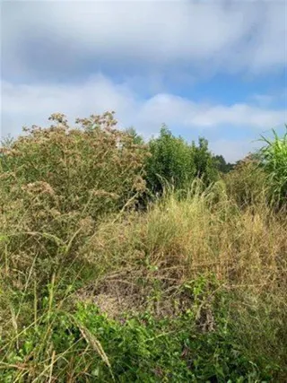 Área rural, foto 5