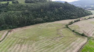 Vista panorâmica de um campo aberto com vegetação densa ao fundo.