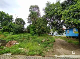 Vista externa de vegetação e caminho em uma propriedade em Lajeado.