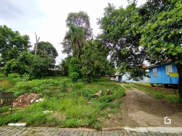 Vista externa de vegetação e caminho em uma propriedade em Lajeado.