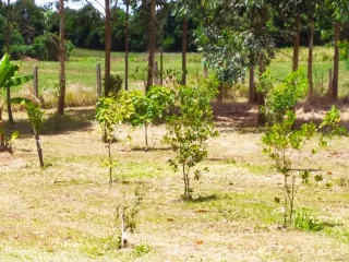 Área rural, foto 4