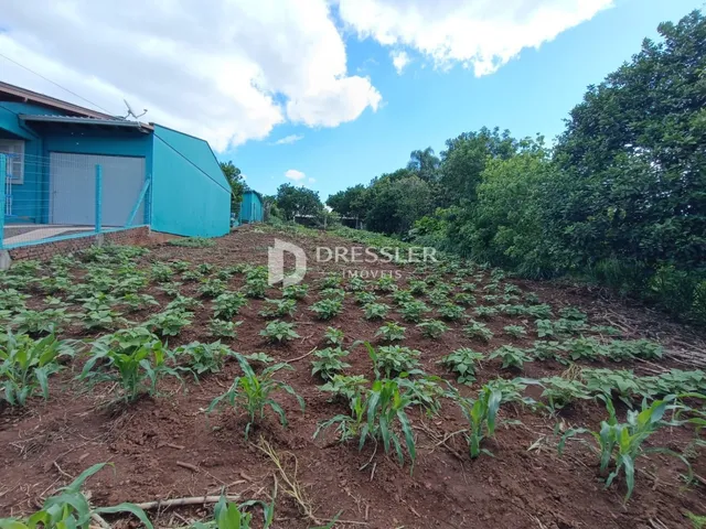 Terreno, foto 5