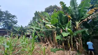 Área rural, foto 12