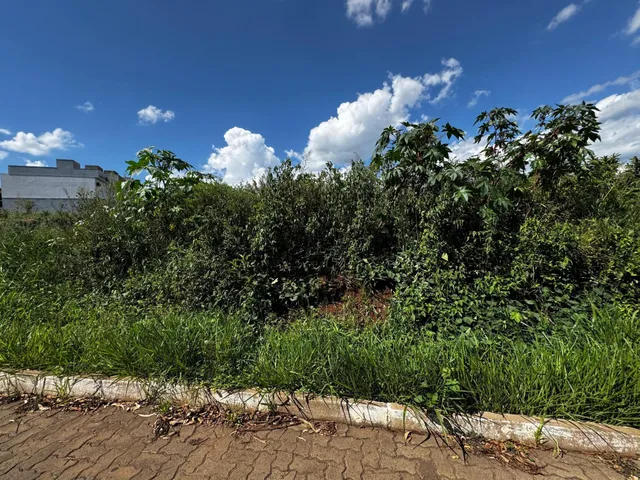 Terreno, foto 5