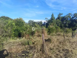 Área rural, foto 6