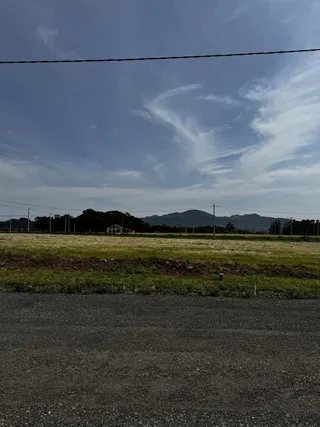 Terreno, foto 5