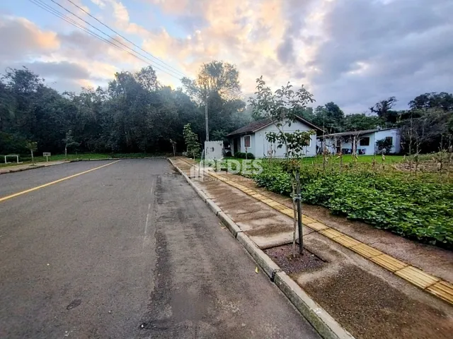 Terreno, foto 2