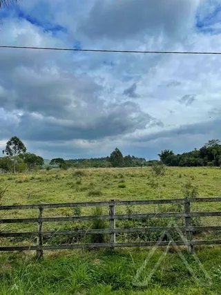 Área rural com 3 dormitórios, foto 24