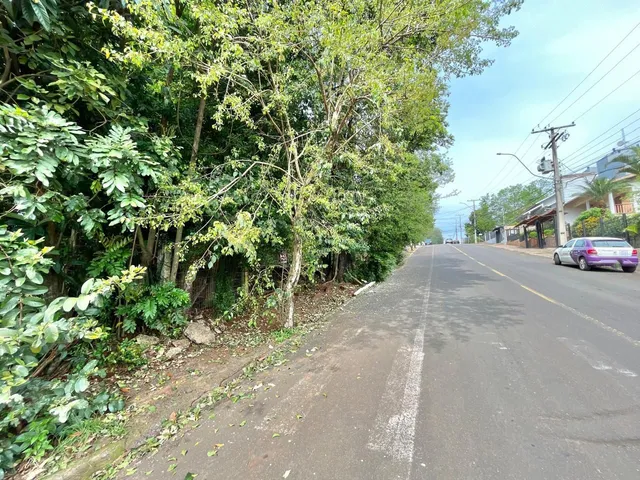Terreno, foto 3