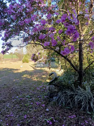 Área rural com 3 dormitórios, foto 14
