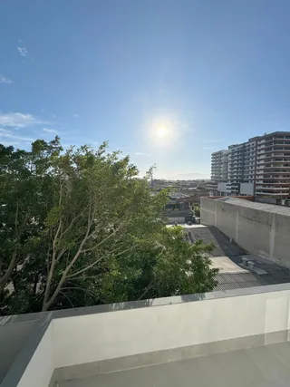 Vista externa da propriedade com vegetação e parede de concreto.