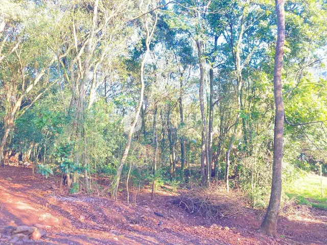 Área rural, foto 5