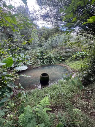 Área rural com 2 dormitórios, foto 9