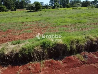 Terreno, foto 5