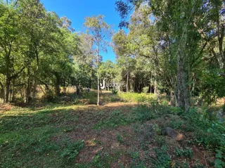Área rural, foto 17