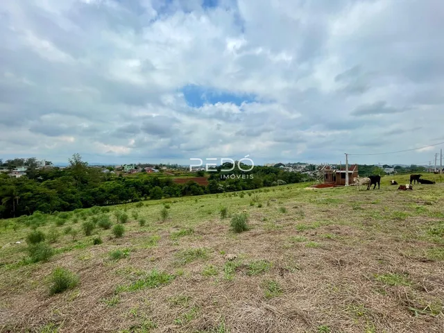 Terreno, foto 4