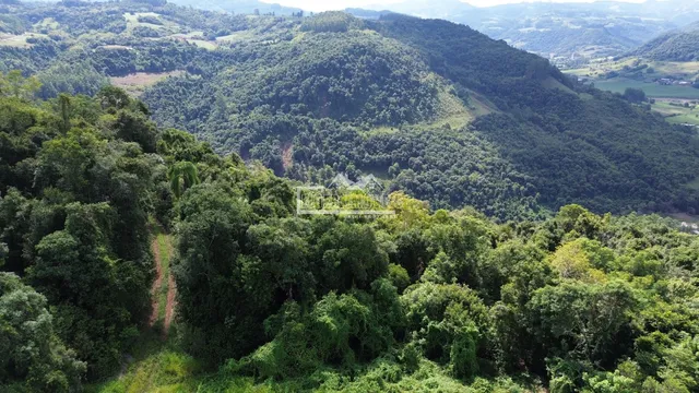 Área rural, foto 5