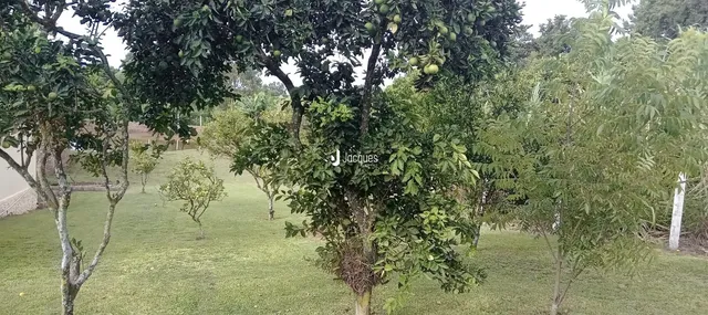 Área rural, foto 2