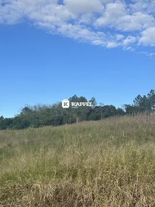 Paisagem de campo com grama seca em primeiro plano sob um céu azul.