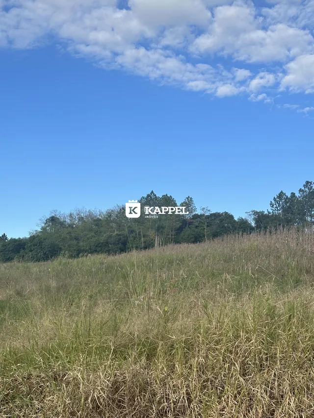 Paisagem de campo com grama seca em primeiro plano sob um céu azul.