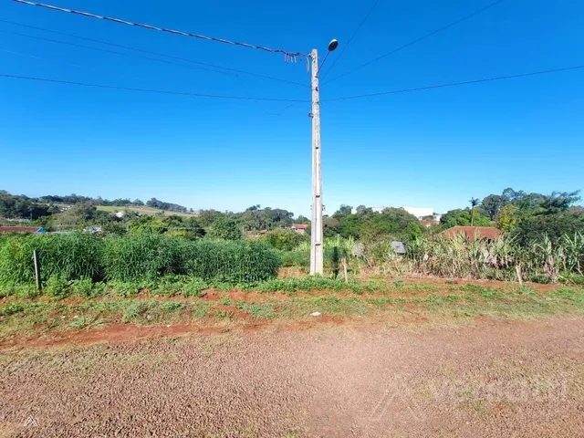 Terreno