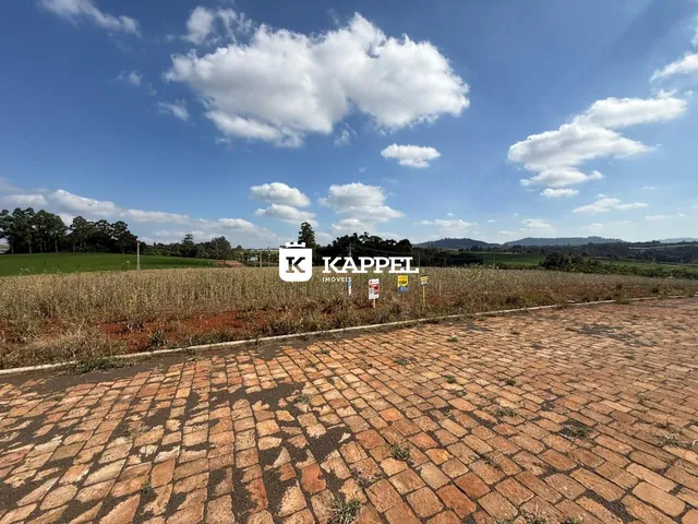 Vista panorâmica de um campo aberto com vegetação seca sob um céu azul.