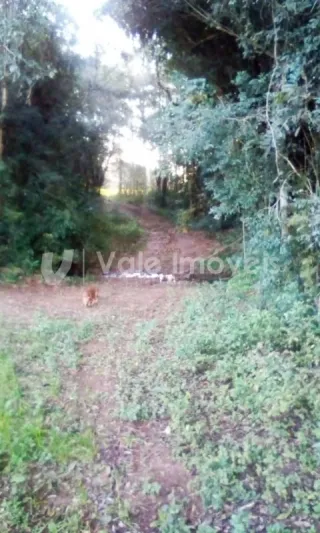Área rural, foto 10
