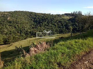 Casa com 4 dormitórios, foto 2