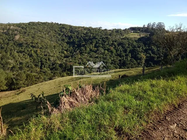 Casa com 4 dormitórios, foto 2