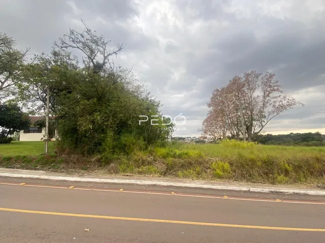 Vista externa de uma propriedade com vegetação e uma estrada no primeiro plano.