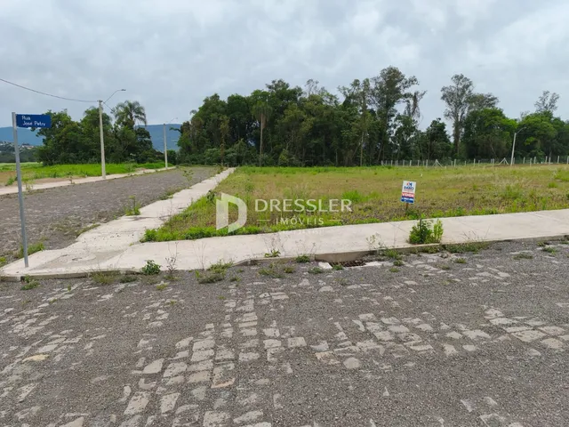 Vista externa de um terreno com vegetação e uma estrada no fundo.
