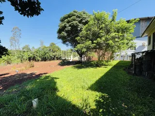 Área de jardim com grama e árvores ao fundo da propriedade.