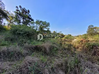 Área rural, foto 3