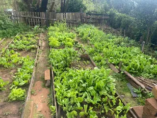 Área rural com 5 dormitórios, foto 22