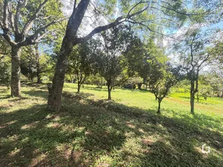 Área rural com 2 dormitórios, foto 16