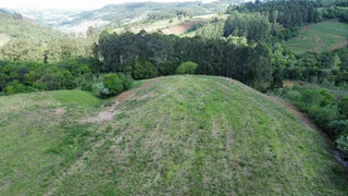 Área rural com 5 dormitórios, foto 10